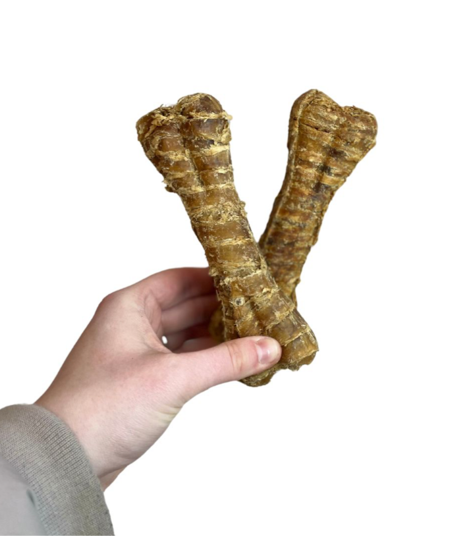 Buffalo Trachea Bone 1pc
