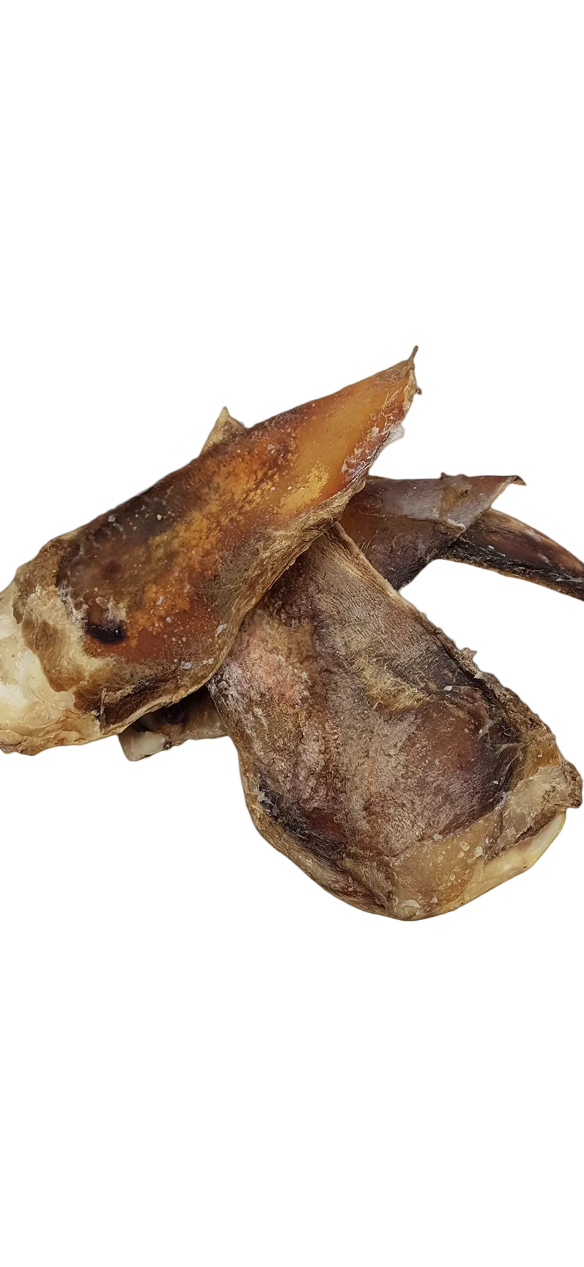 Moon Bone- Beef Cartilage 1pc
