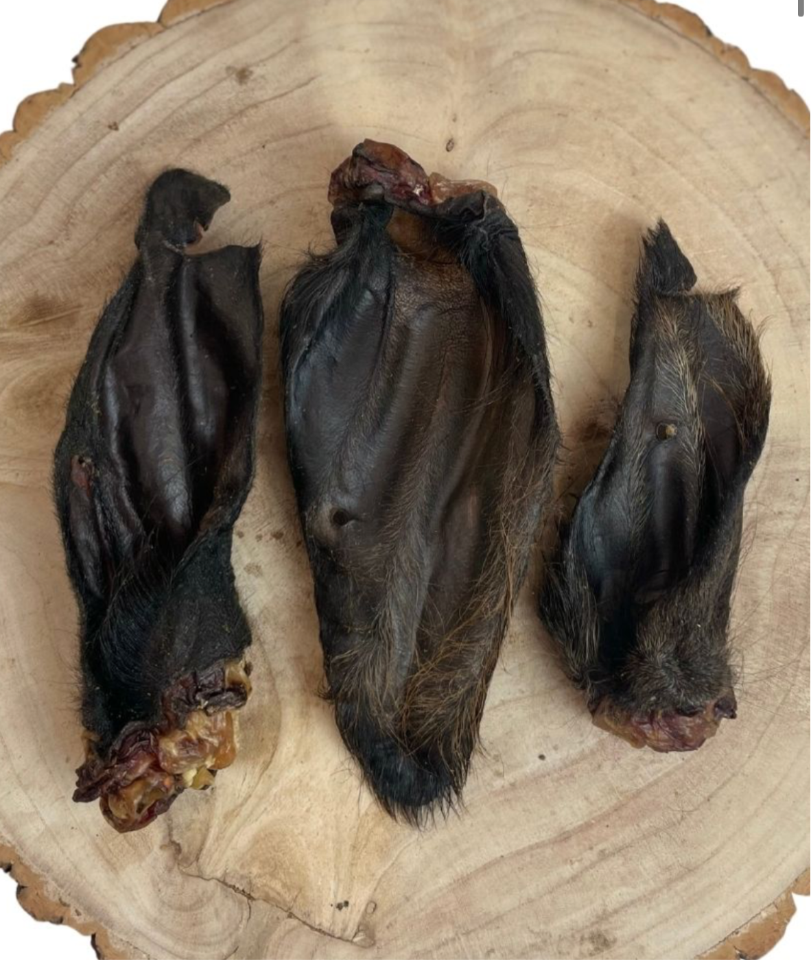 Large Hairy Buffalo Ears 10 Pack