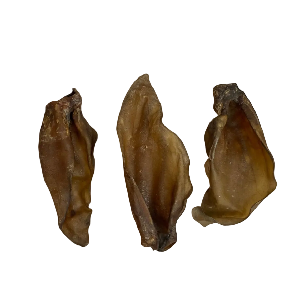 Large Hairless Buffalo Ear 1pc