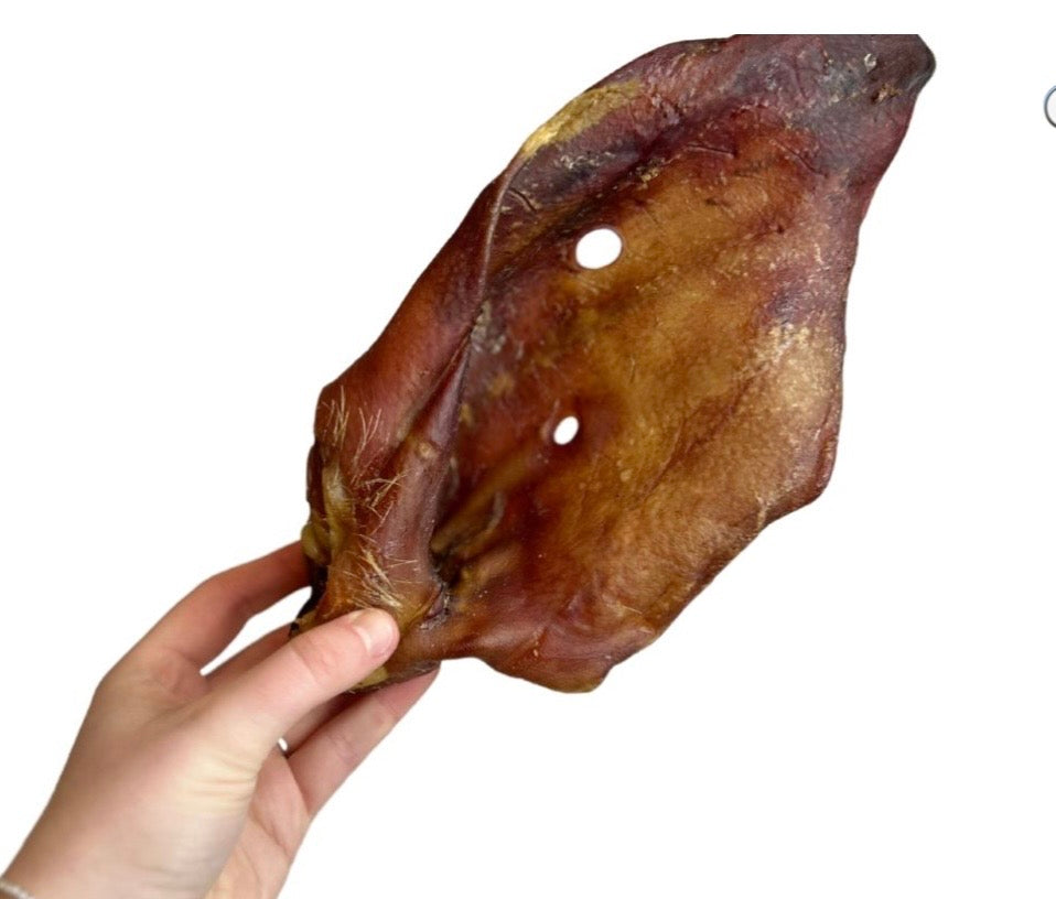 1 Sows ears XL (Pig ears)