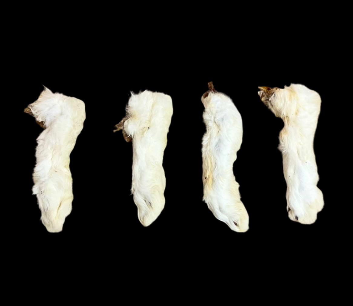 Hairy Rabbit Feet 1KG
