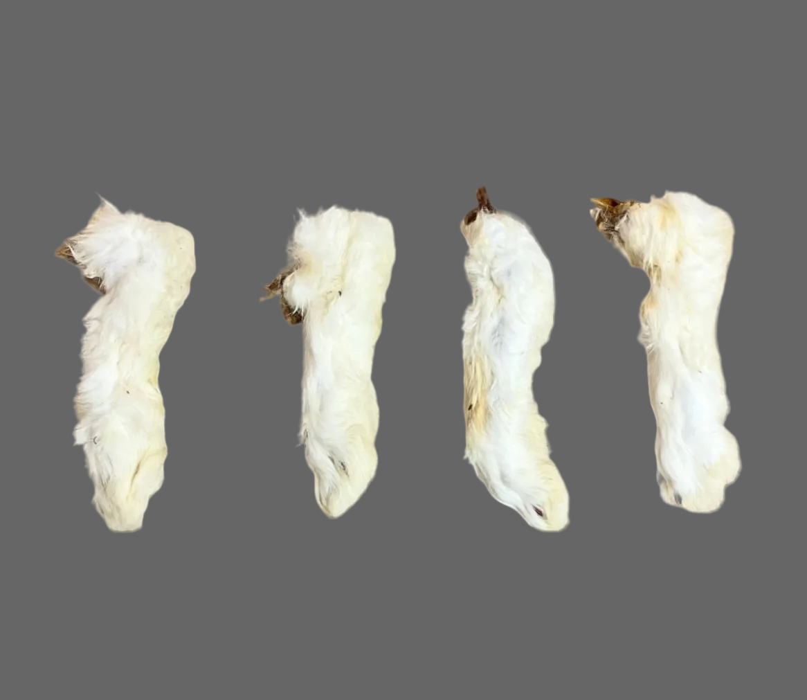 Hairy Rabbit Feet 4pc