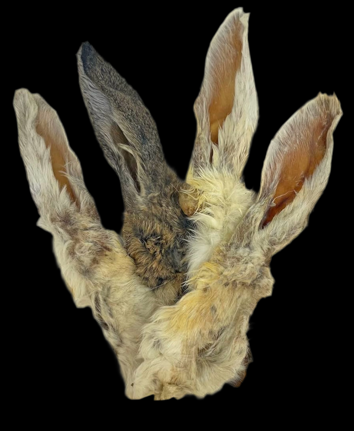 Hairy Rabbit Ears 4pc