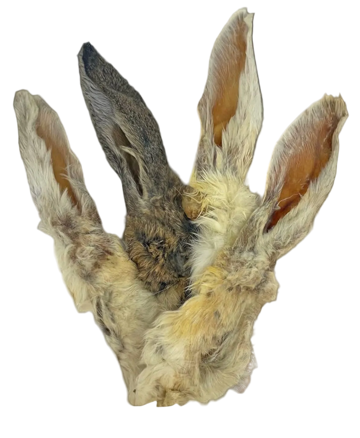 Hairy Rabbit Ears 4pc