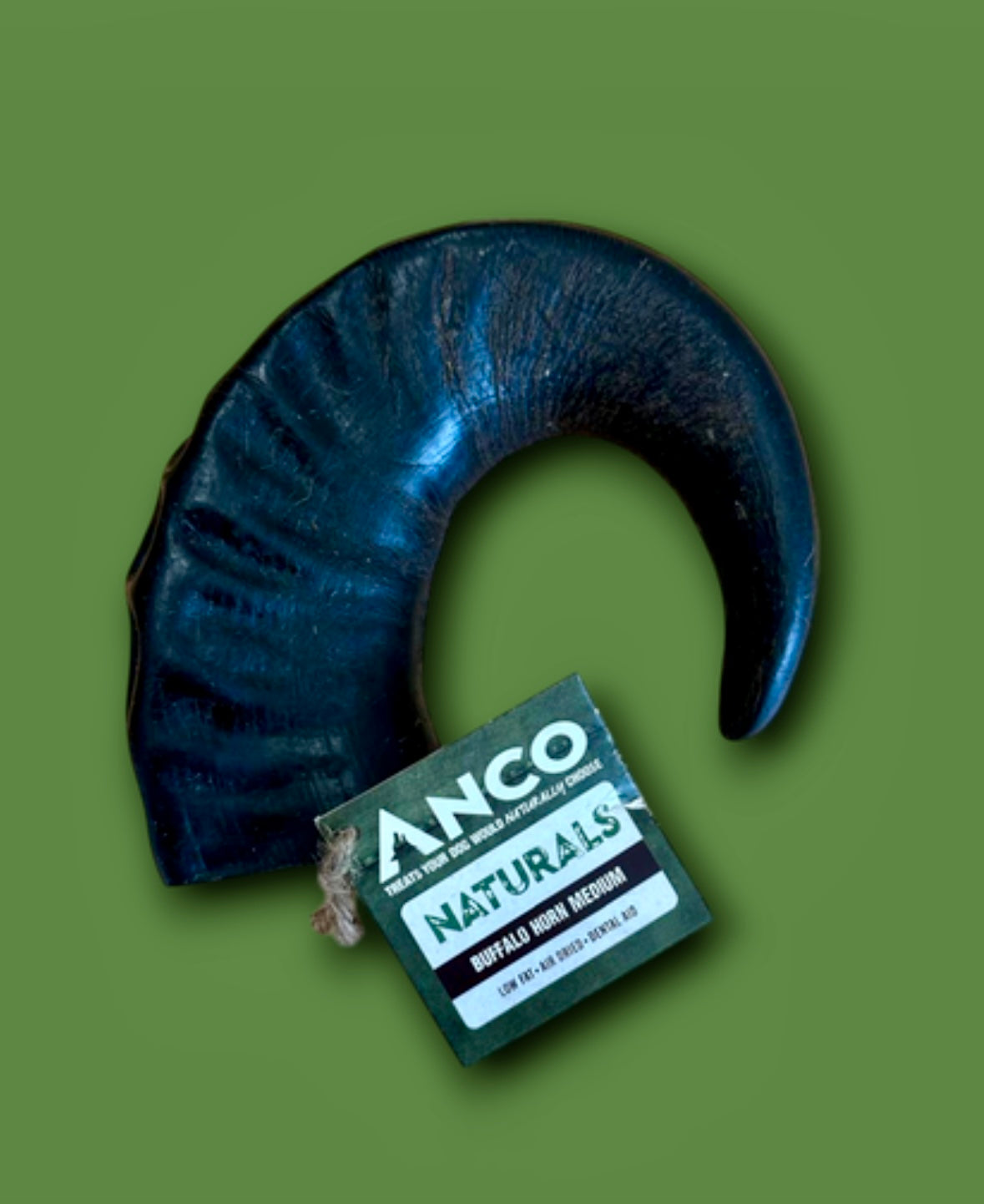 Buffalo Horn Medium