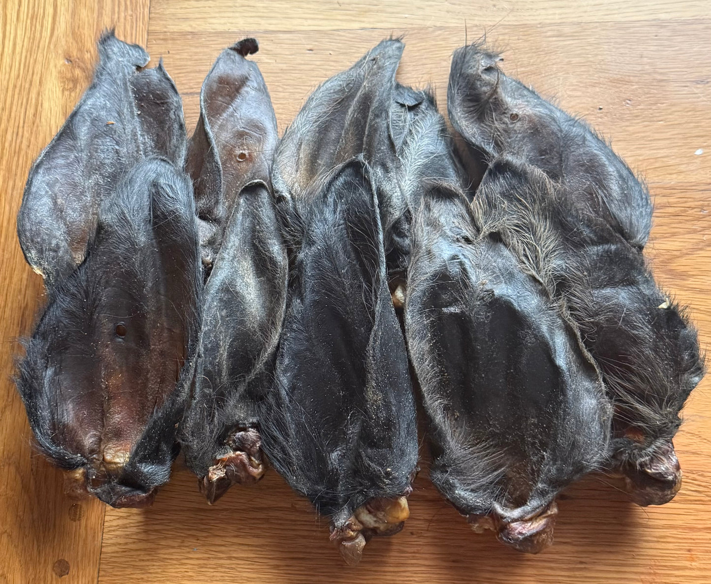 Large Hairy Buffalo Ears 10 Pack