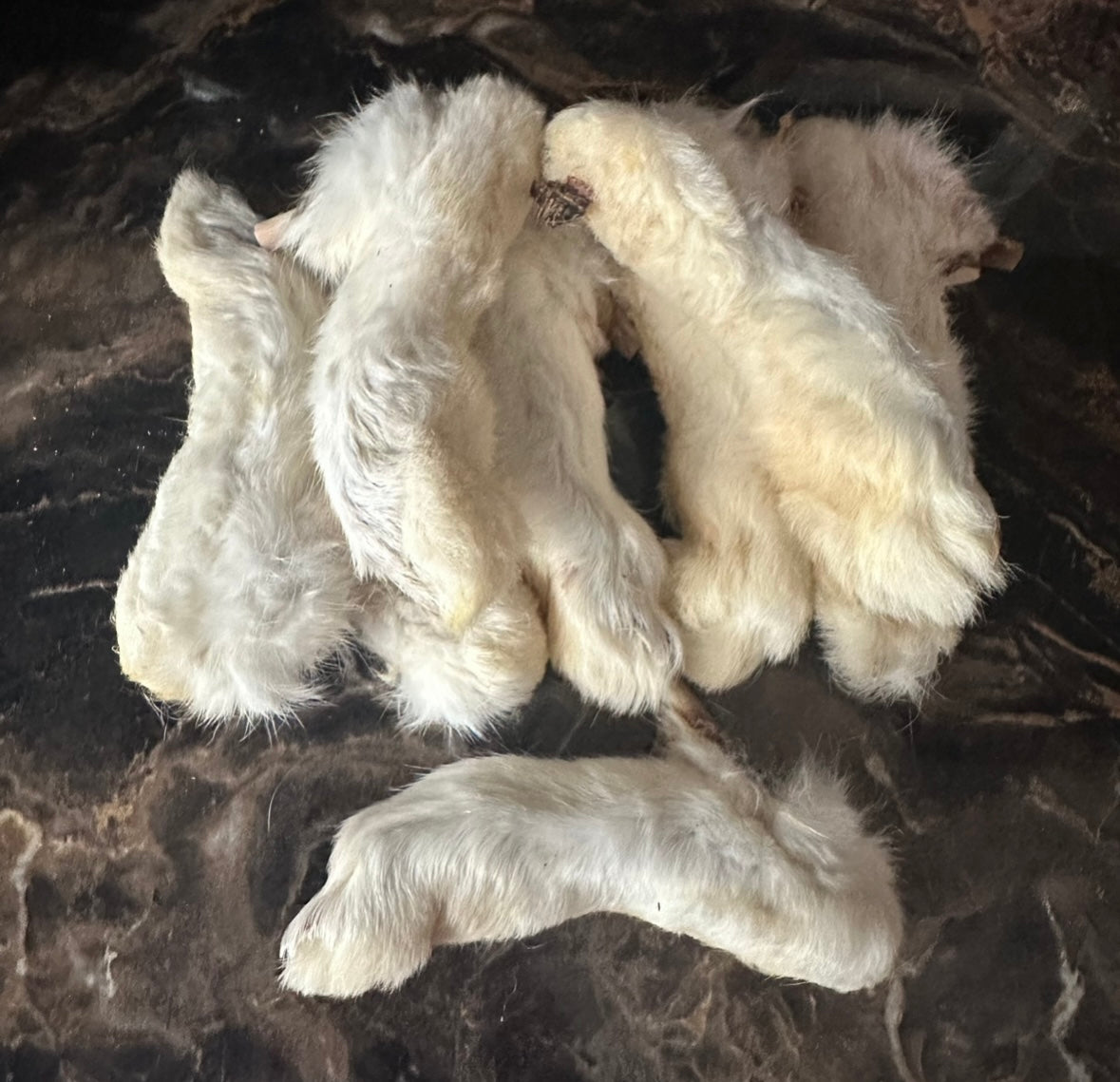 Hairy Rabbit Feet 1KG