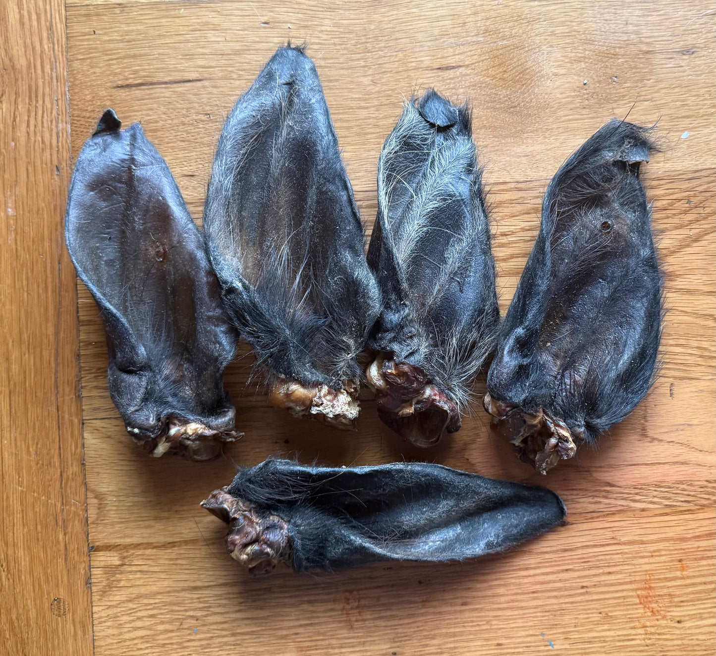 Large Hairy Buffalo Ears 5 Pack
