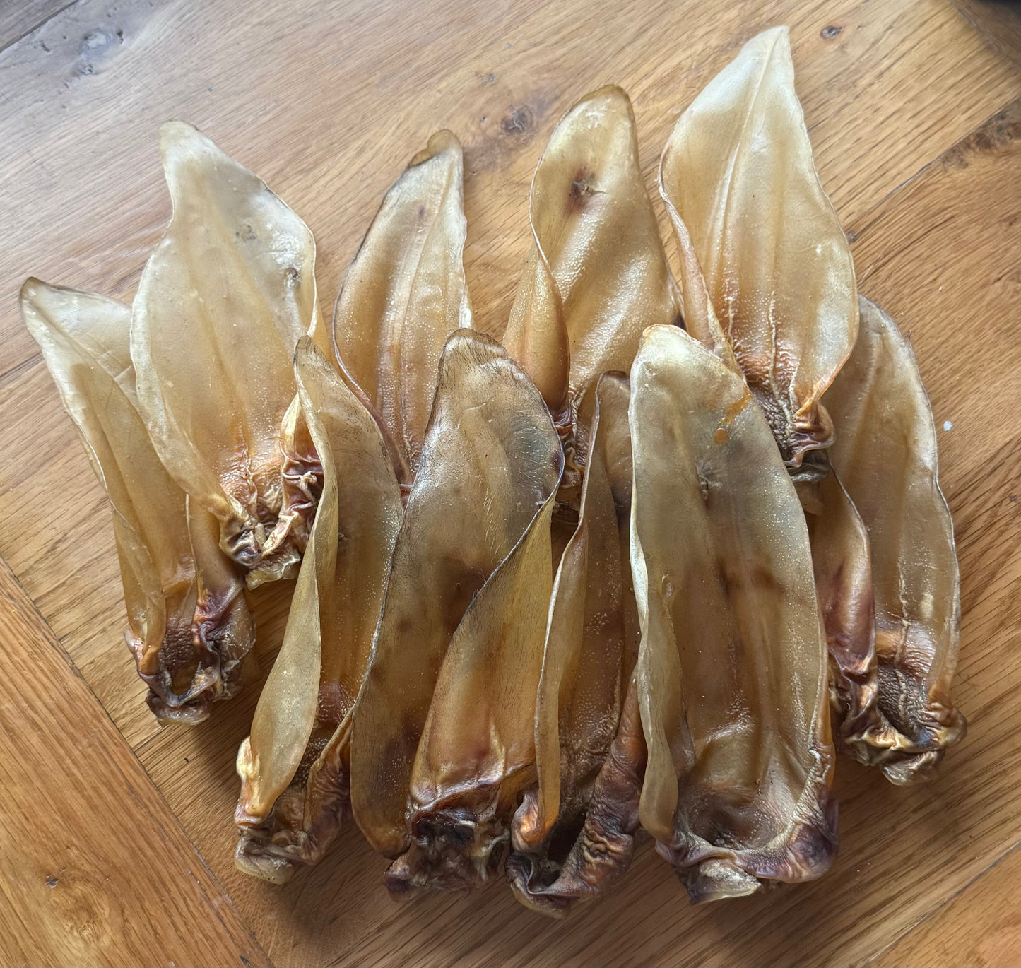 Large Hairless Buffalo Ears 10 Pack