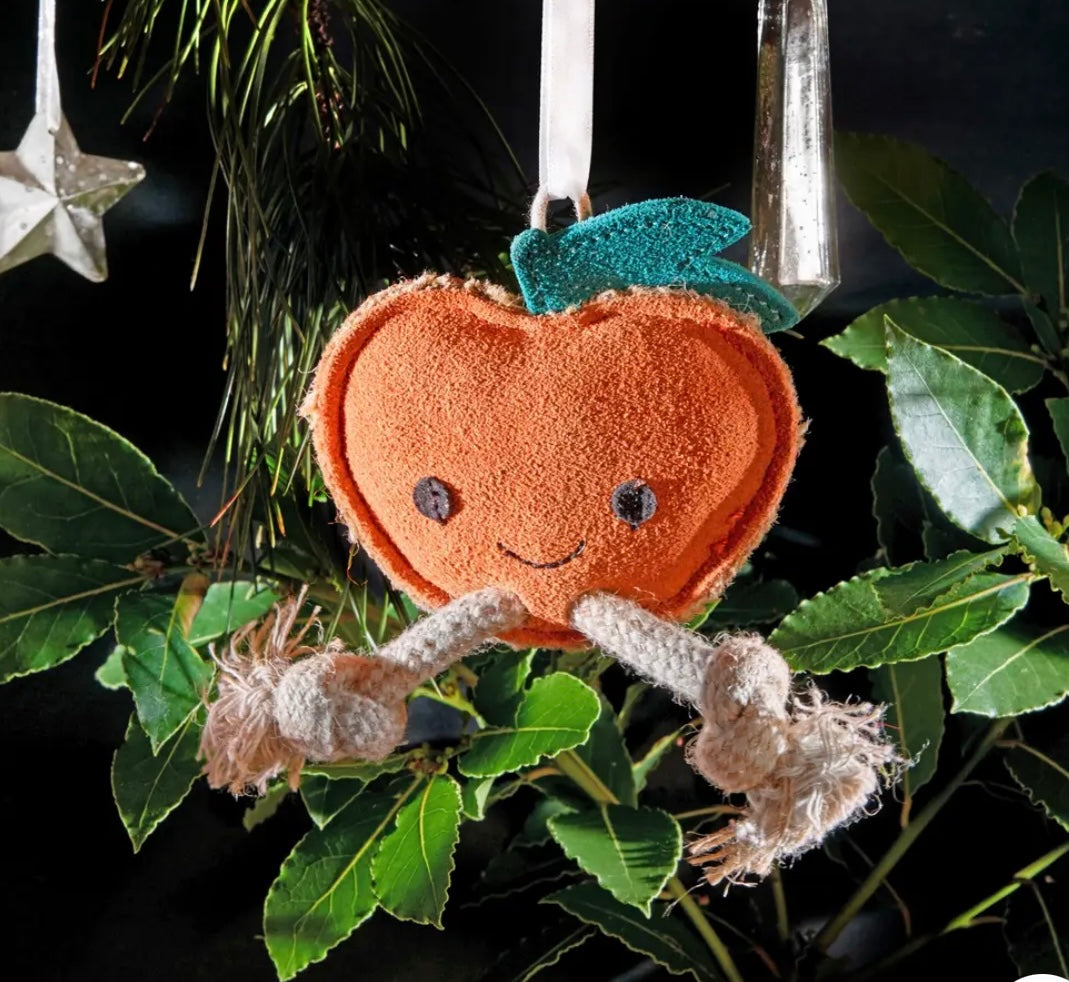 Sancho the Satsuma, Eco Cat & Dog Toy