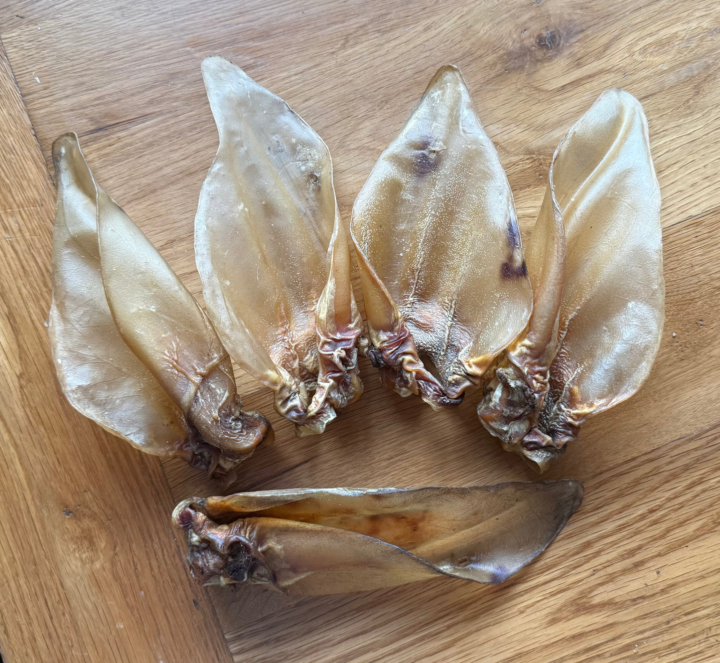 Large Hairless Buffalo Ears 5 Pack