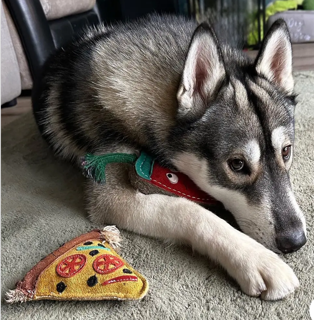 Pepe le Pizza, Eco Dog Toy