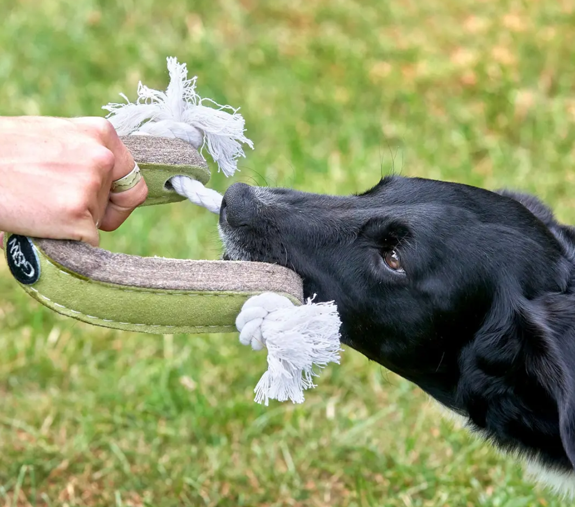 Push Me, Pull Me, Eco Dog Toy