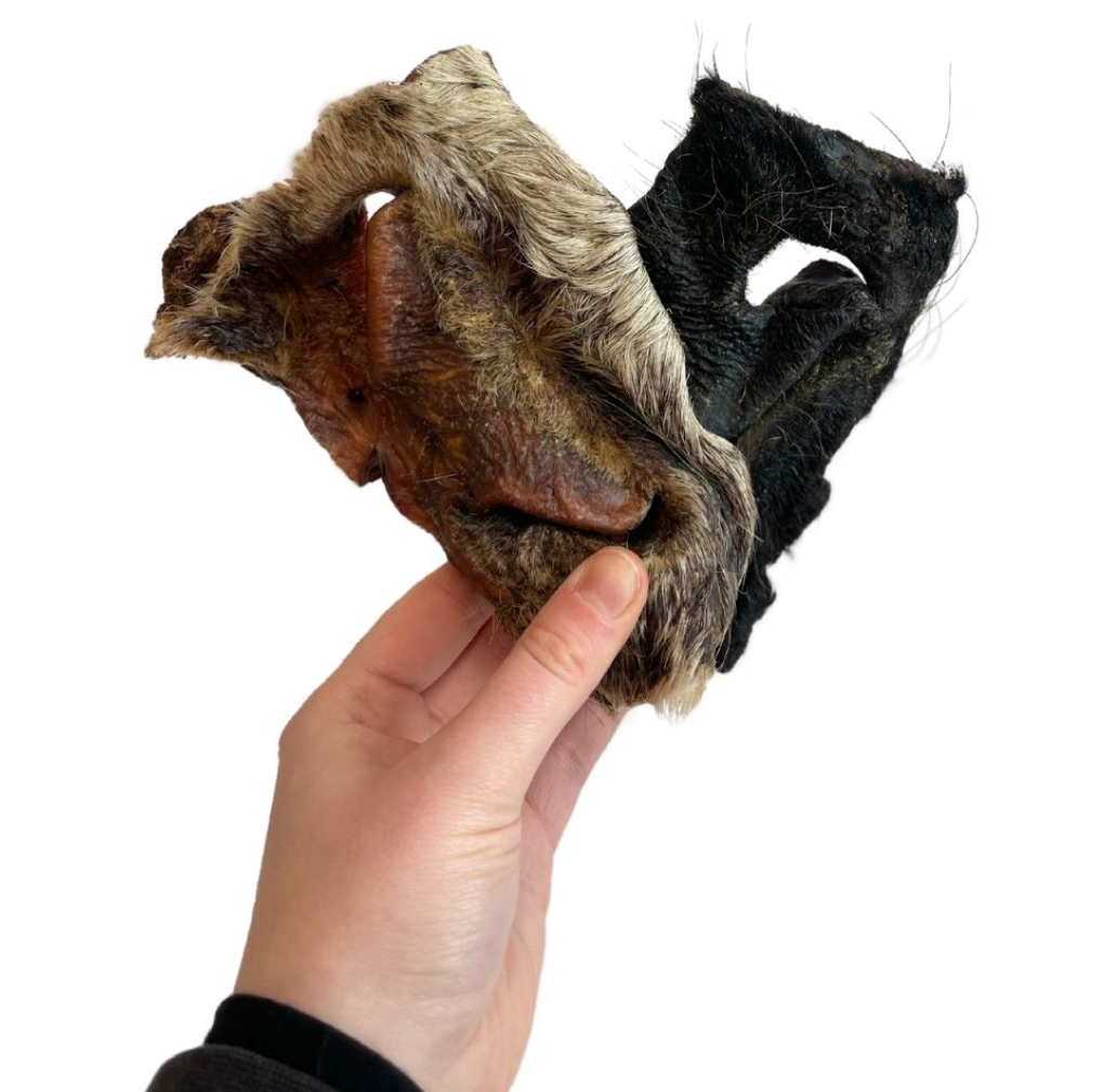 Hairy Beef Snout 1pc