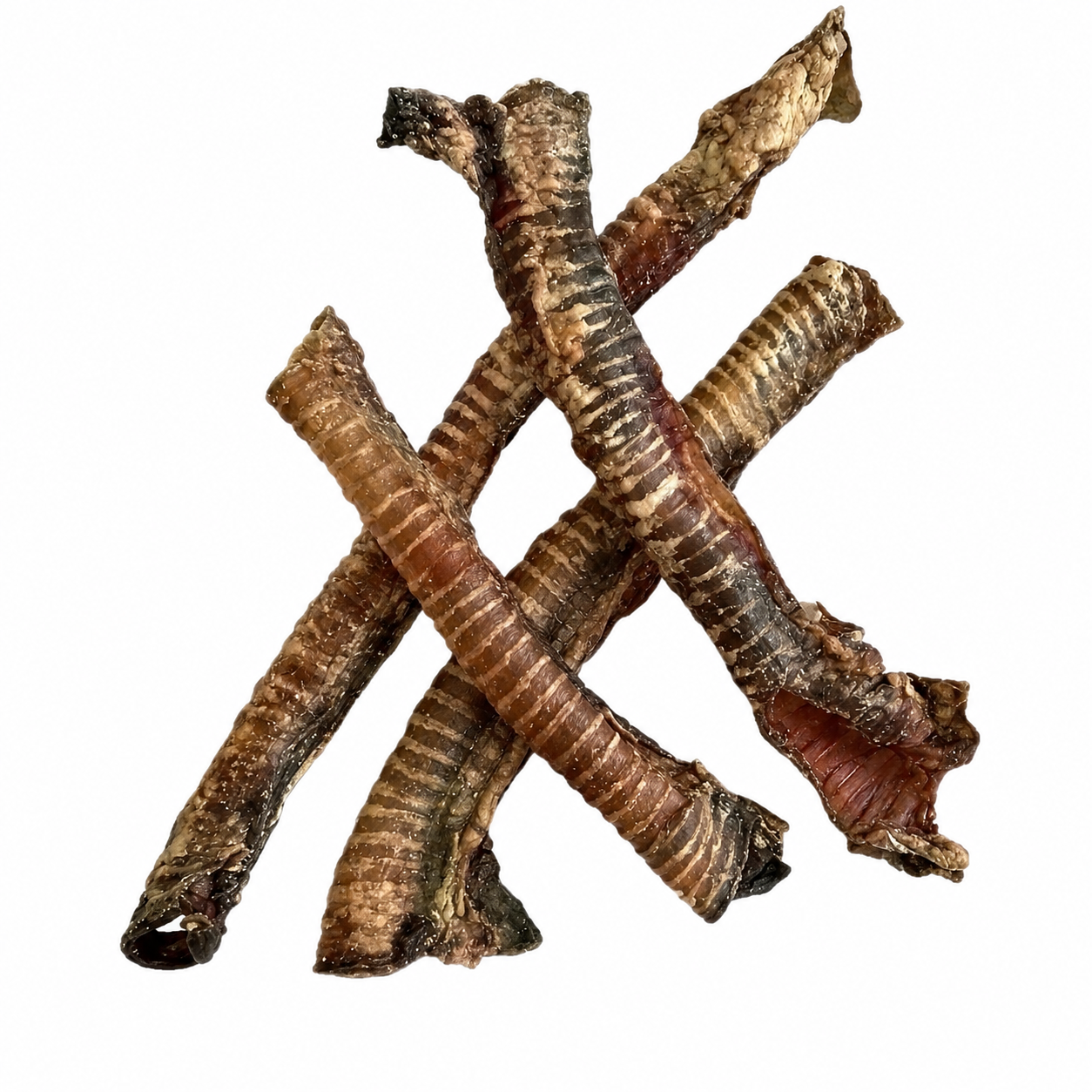XL Buffalo Trachea 1pc (50-60cm)