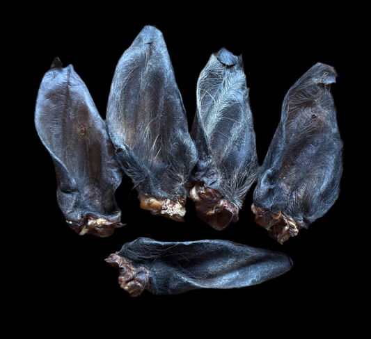 Large Hairy Buffalo Ears 5 Pack