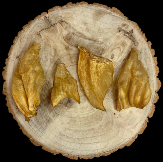 Hairless Cow ear 1pc