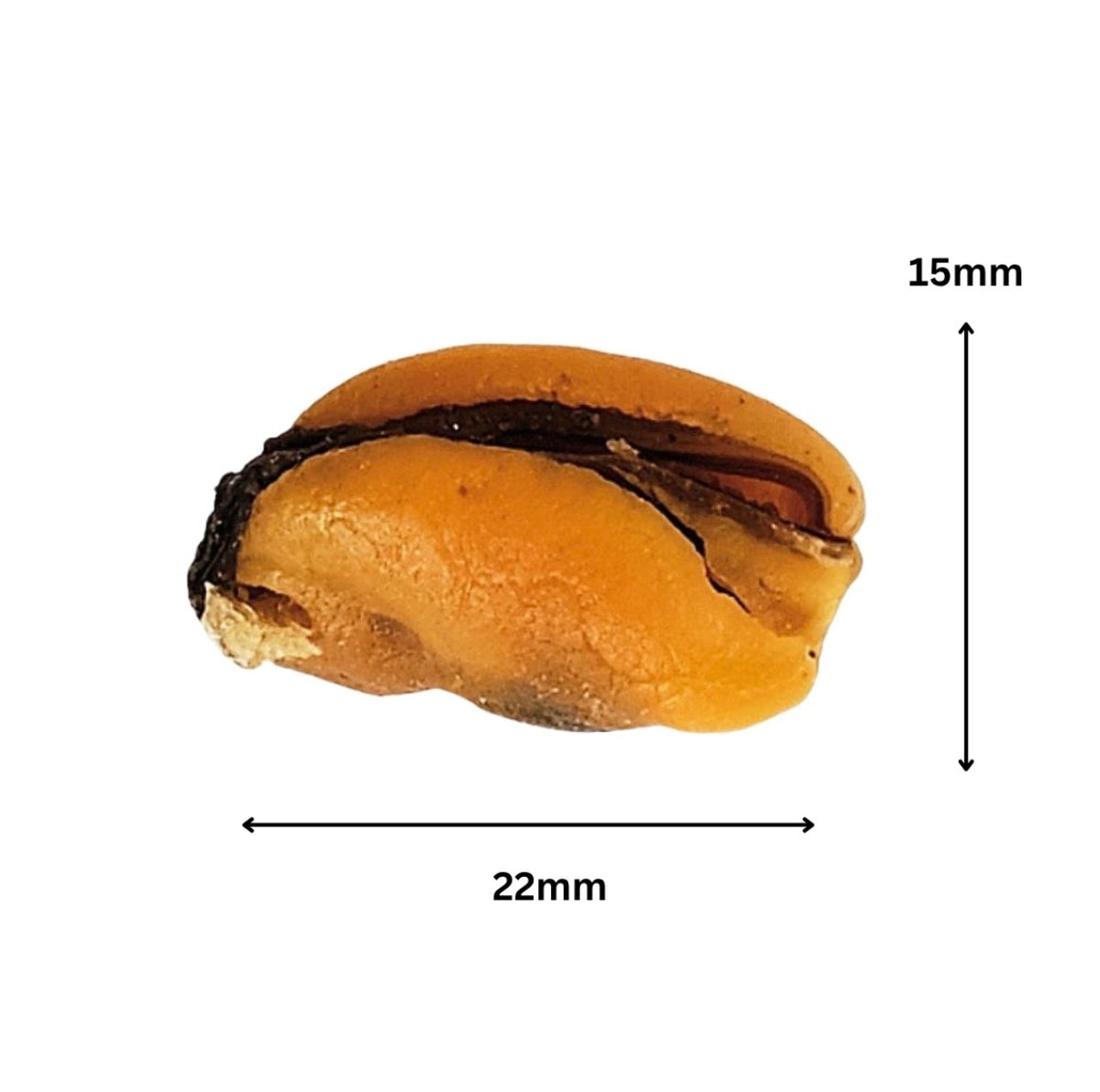 Fish D'Light Mussels 100g