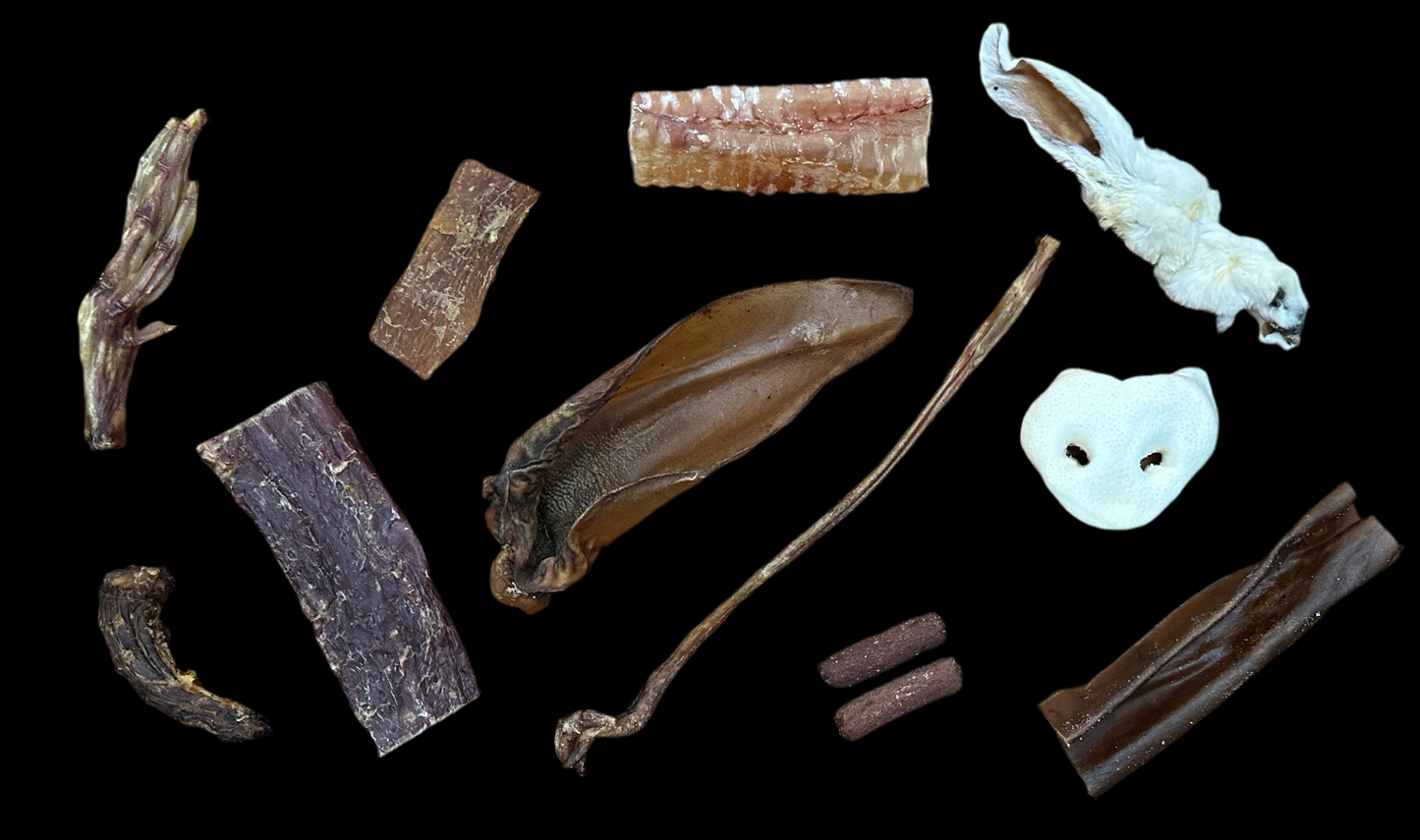 Dog Taster Box