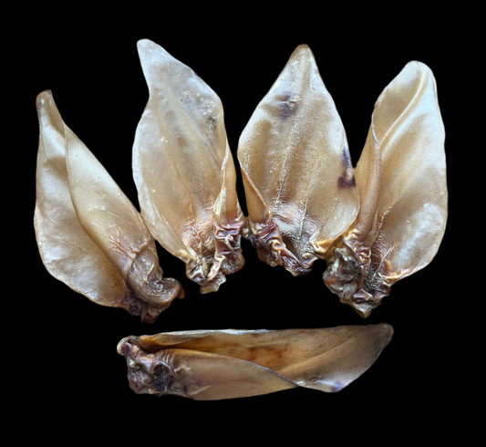 Large Hairless Buffalo Ears 5 Pack