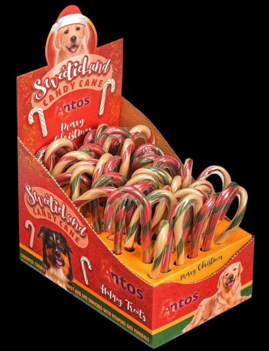 Christmas Candy Cane 1pc