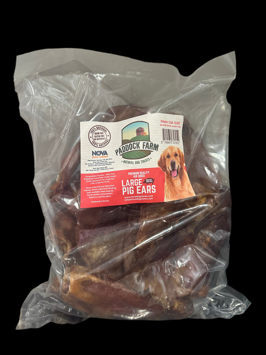 Large Pig Ears 10 Pack