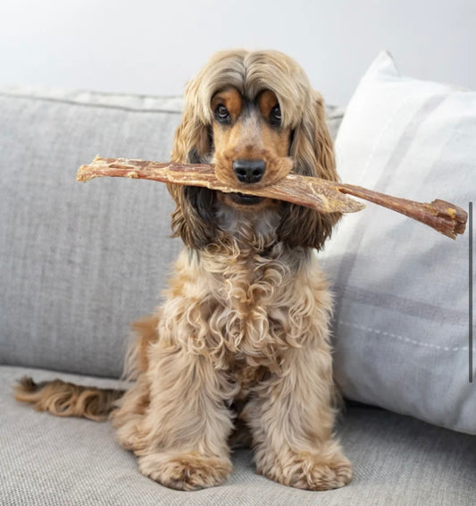 Giant Paddywack Stick