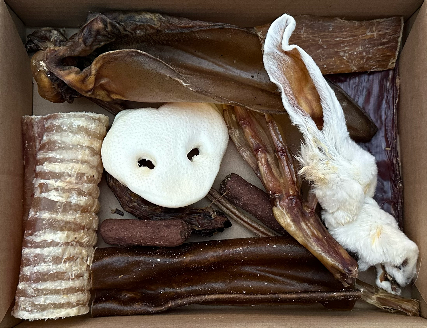Dog Taster Box