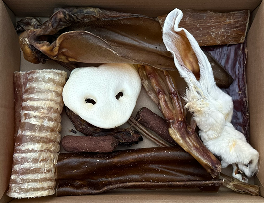 Dog Taster Box