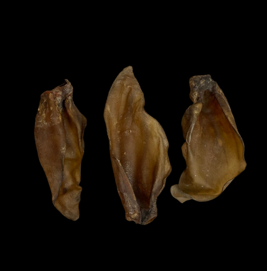 Large Hairless Buffalo Ear 1pc