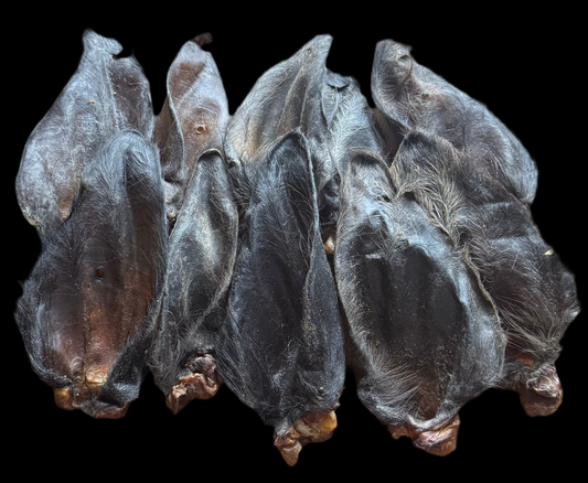 Large Hairy Buffalo Ears 10 Pack