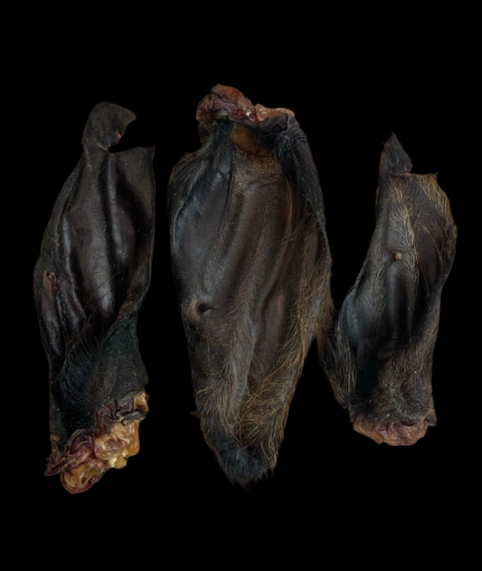 Large Buffalo Ear With Hair 1pc