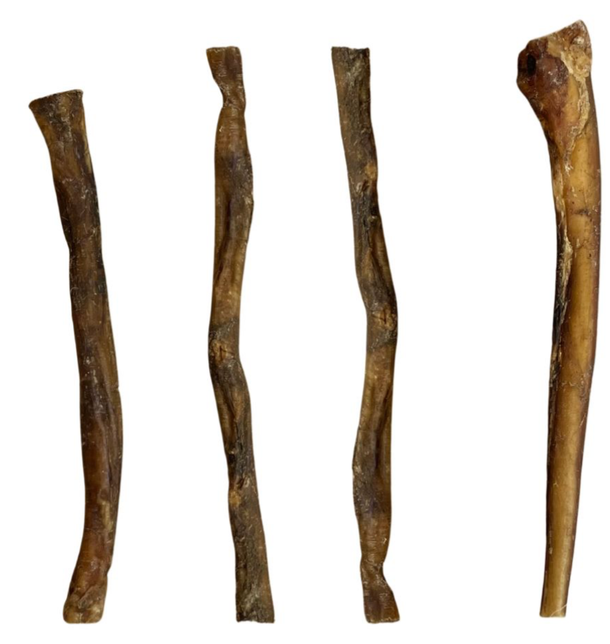 24cm Buffalo Pizzle (1pc)