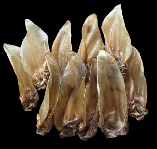 Large Hairless Buffalo Ears 10 Pack