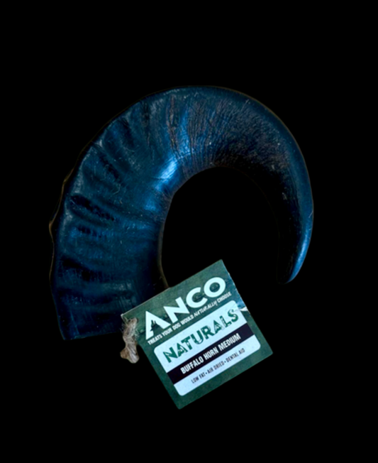 Buffalo Horn Medium