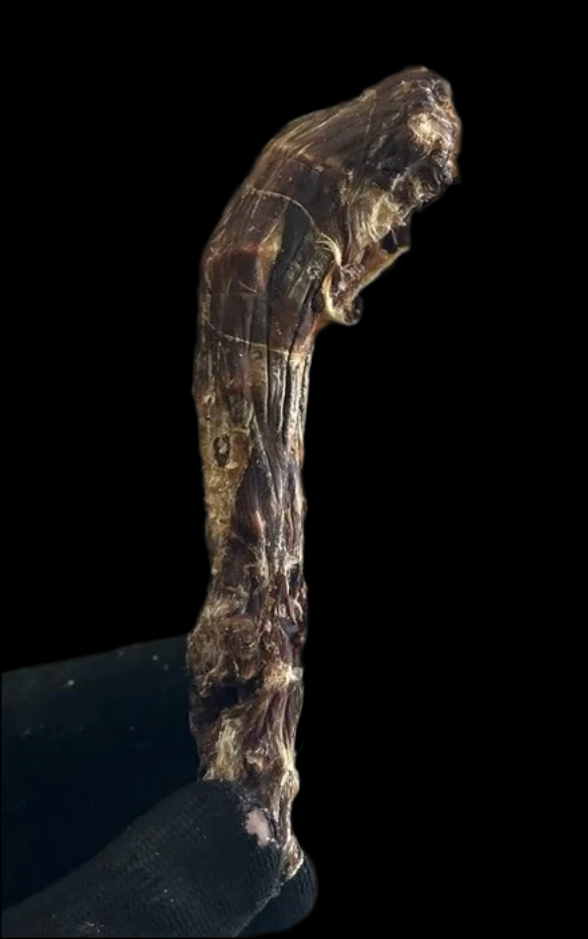 Chicken neck 3pc