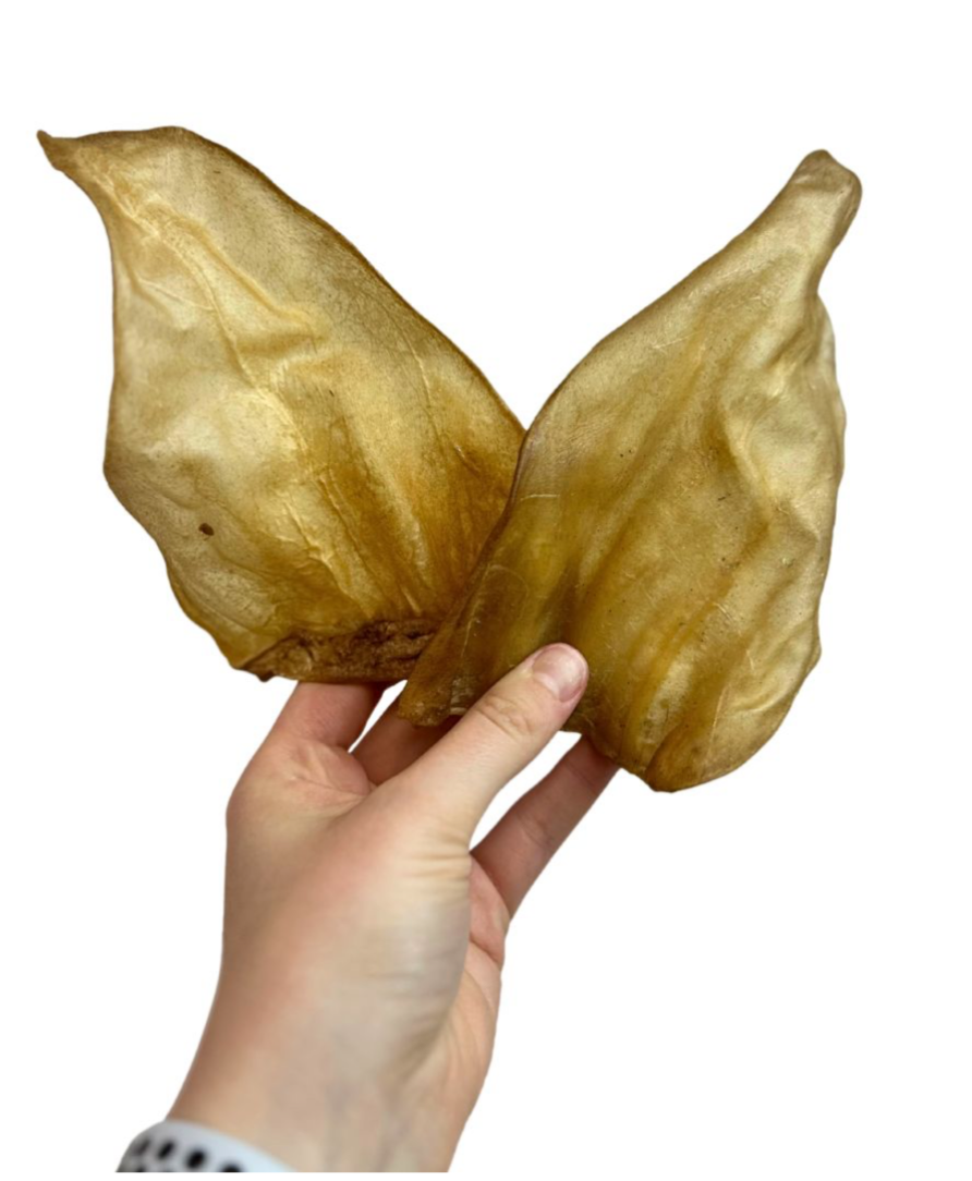 Hairless Cow ear 1pc