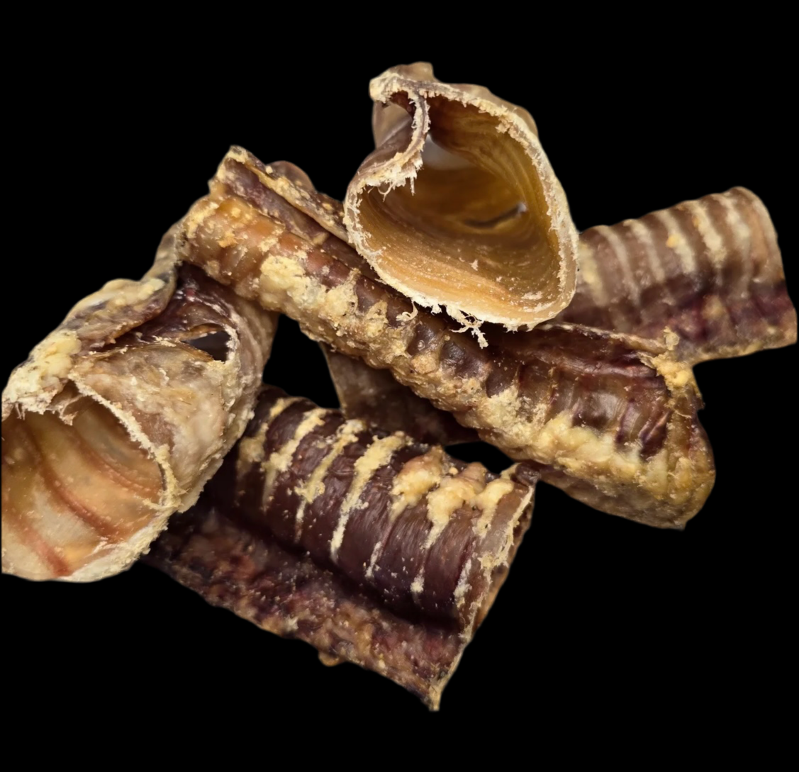 1KG Beef Trachea - 12cm