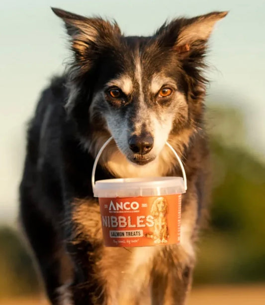 Anco Nibbles Salmon Treats 300g
