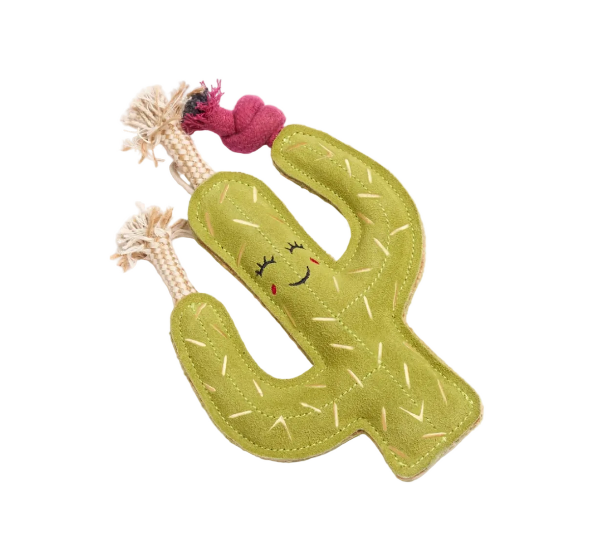 Carmen the Cactus, Eco Dog Toy
