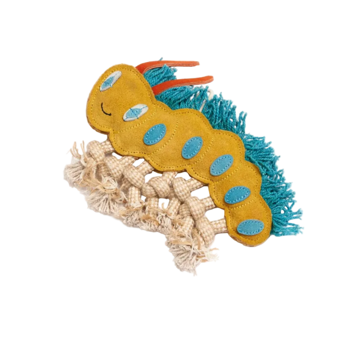 Clara the Caterpillar, Eco Dog Toy