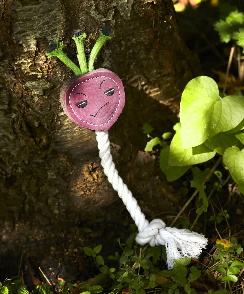 Ruby the Radish, Eco Dog Toy
