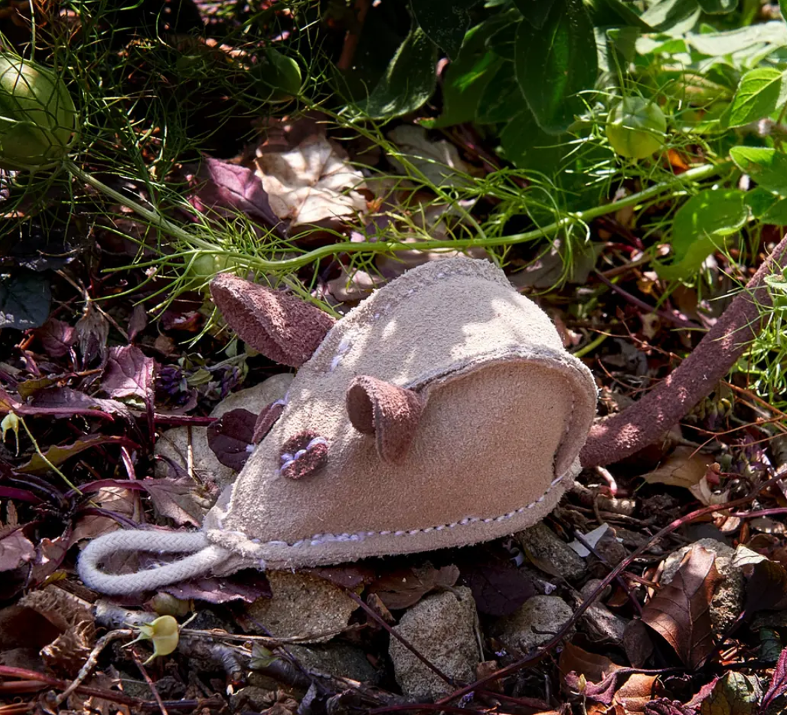 Mike the Mouse, Eco Dog Toy