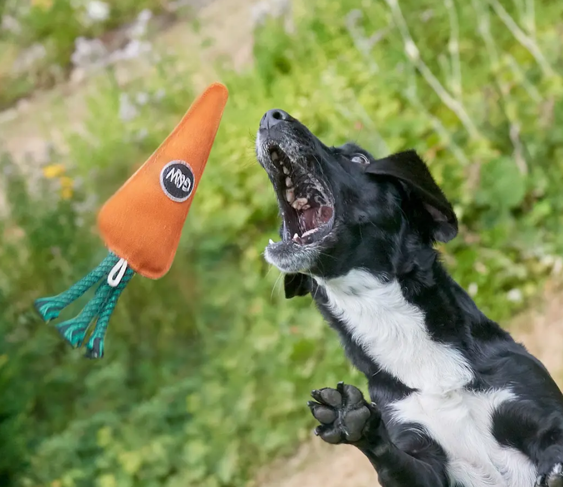 Candice the Carrot, Eco Dog Toy