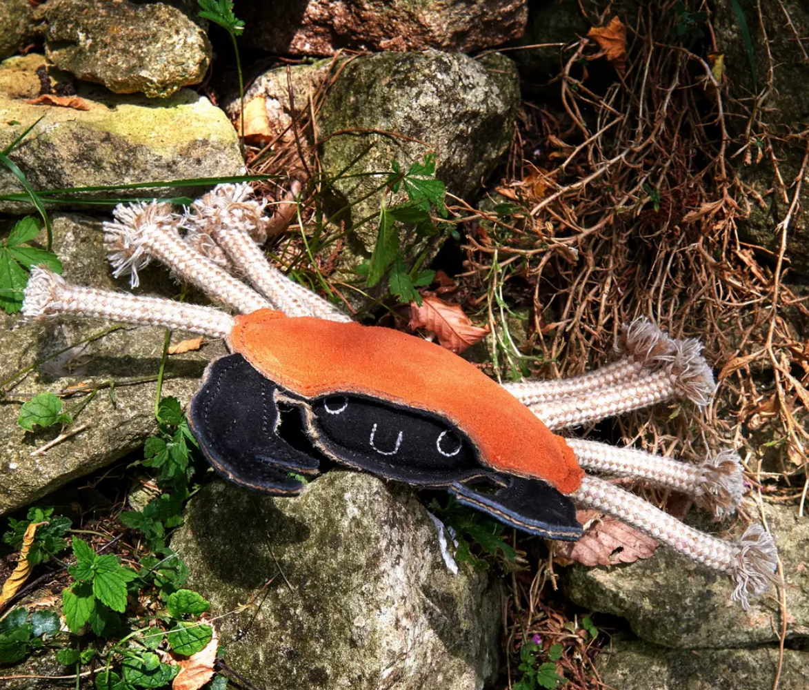 Carlos the Crab, Eco Dog Toy