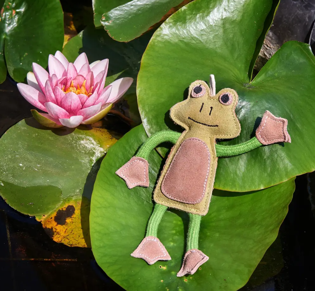 Francois Le Frog, Eco Dog Toy