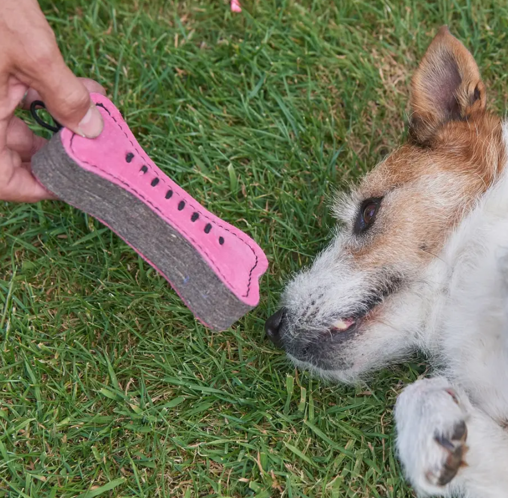 Pinkie Bone, Eco Dog Toy