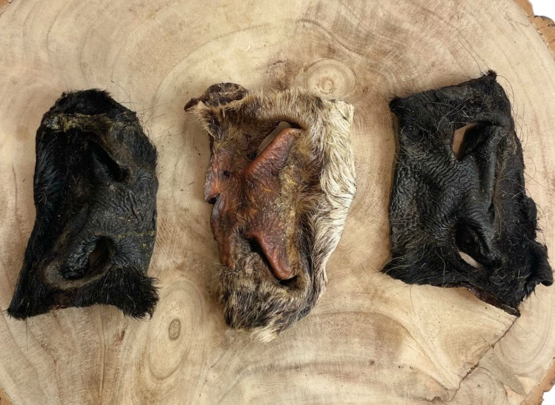 Hairy Beef Snout 1pc
