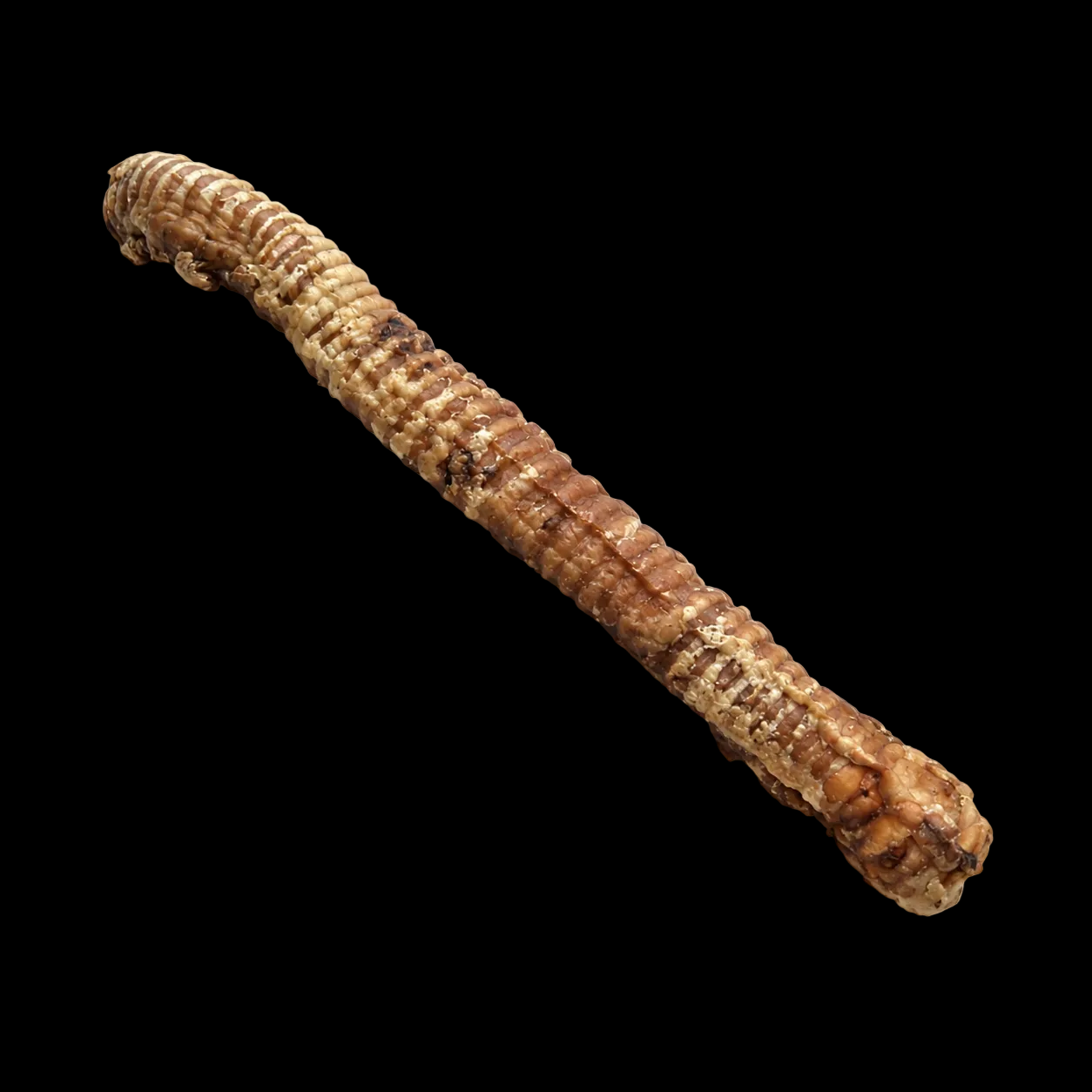 XL Buffalo Trachea 1pc (50-60cm)